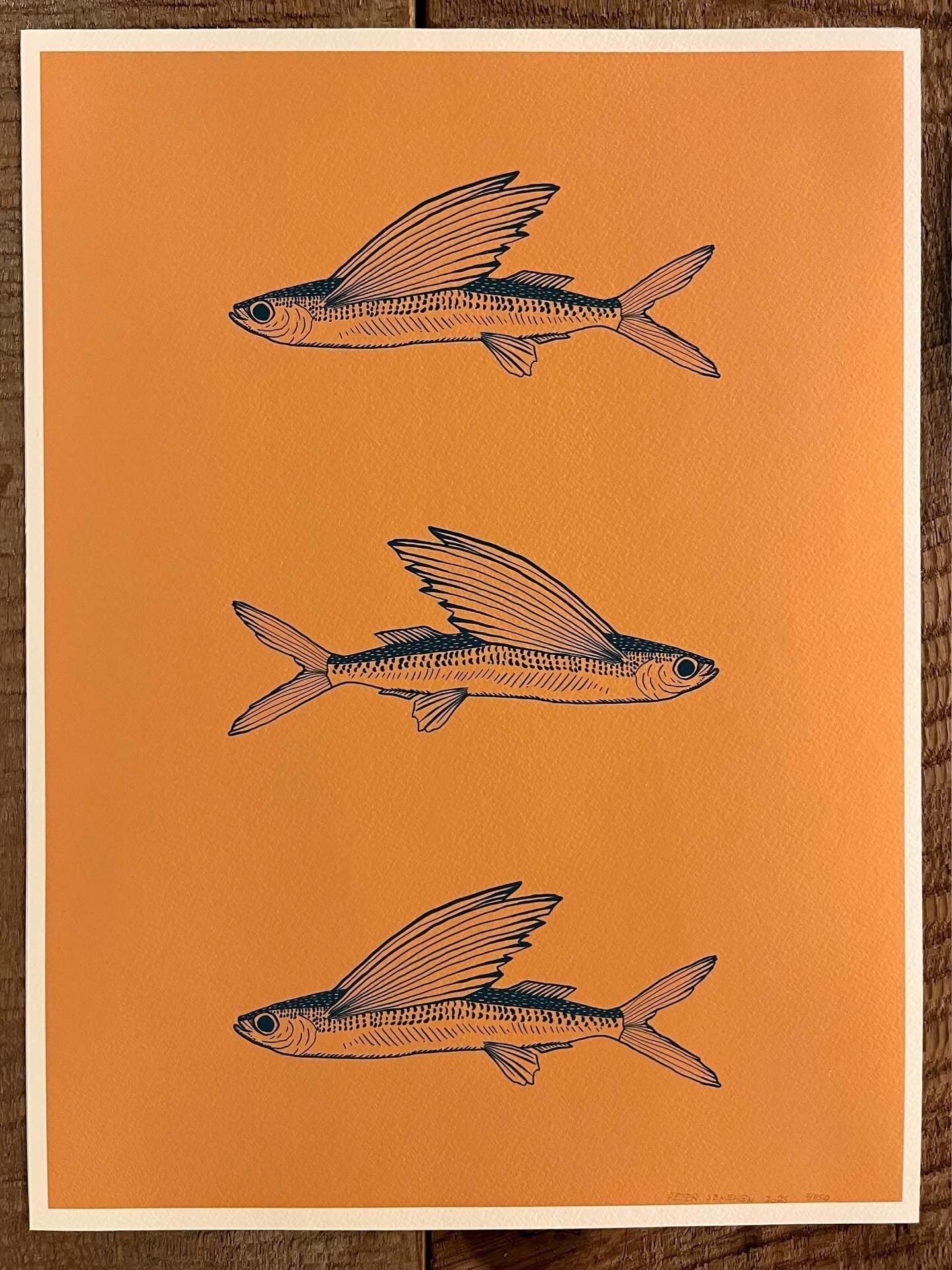 Flying fish print 12”x16”