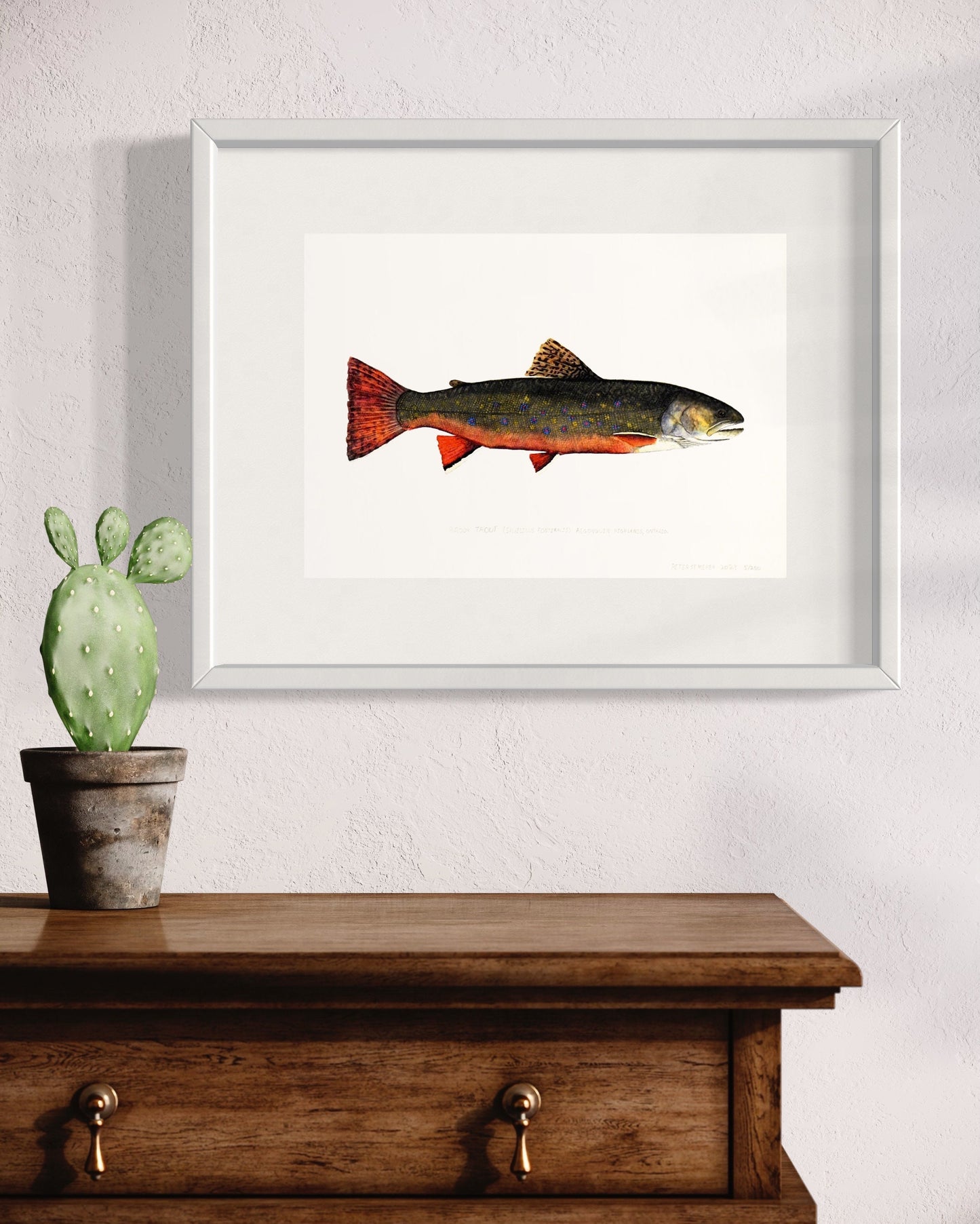 Brook Trout Print