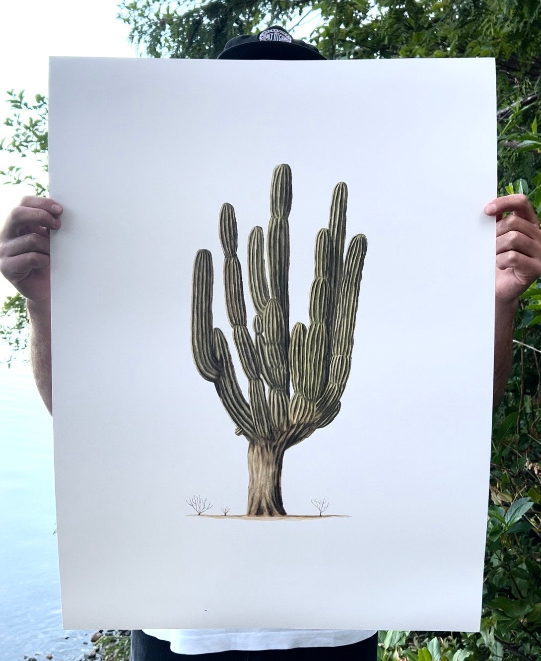 Original Giant Cardon Cactus