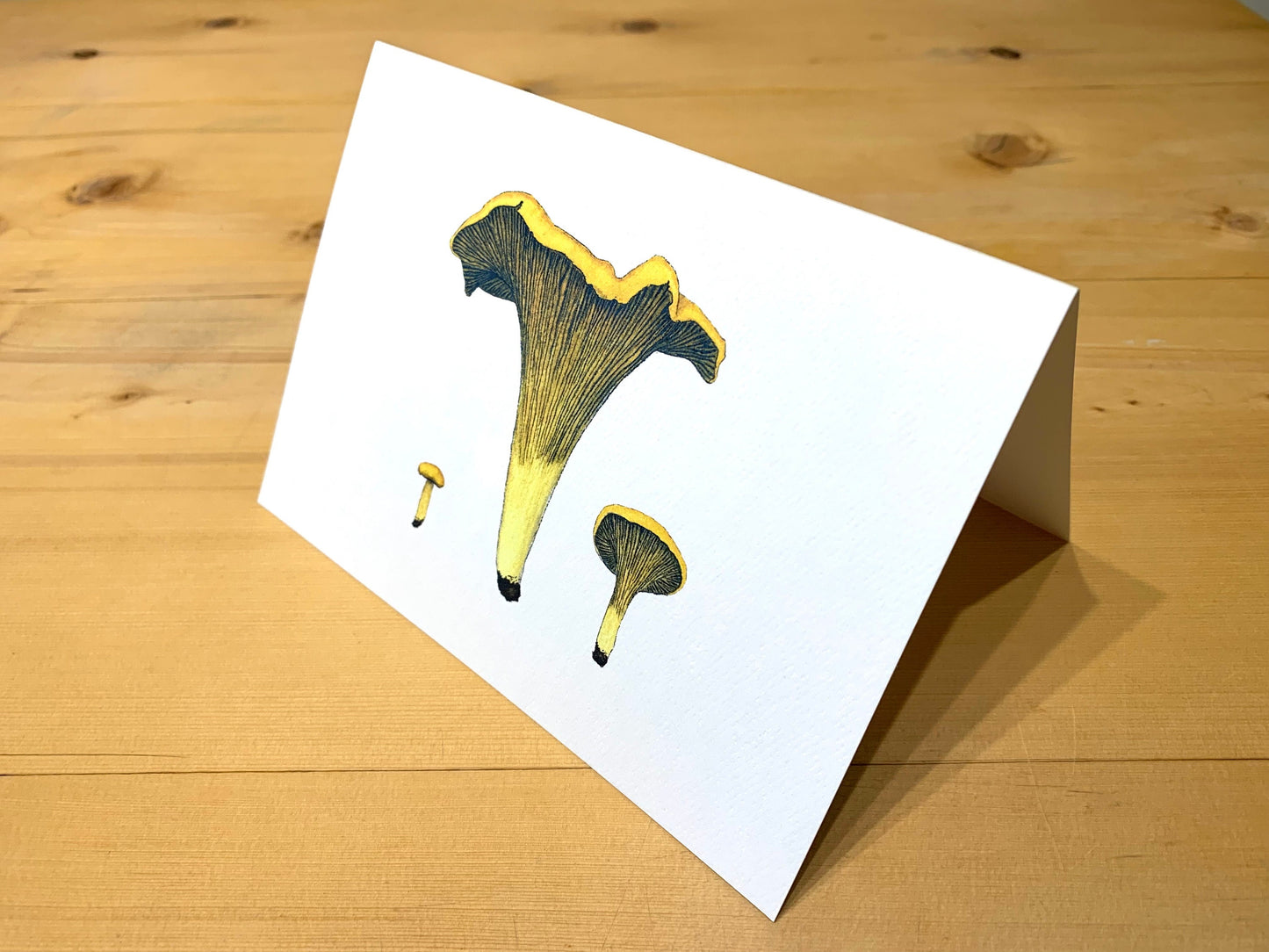 Golden Chanterelle Print