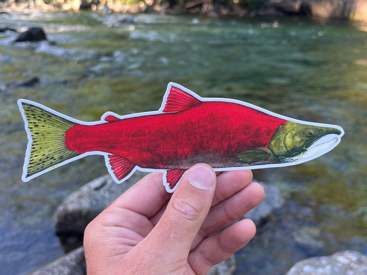 Sockeye Salmon Sticker