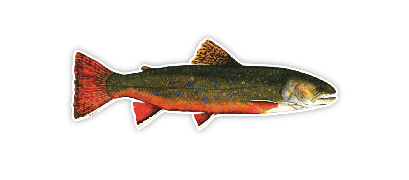 Brook Trout Sticker