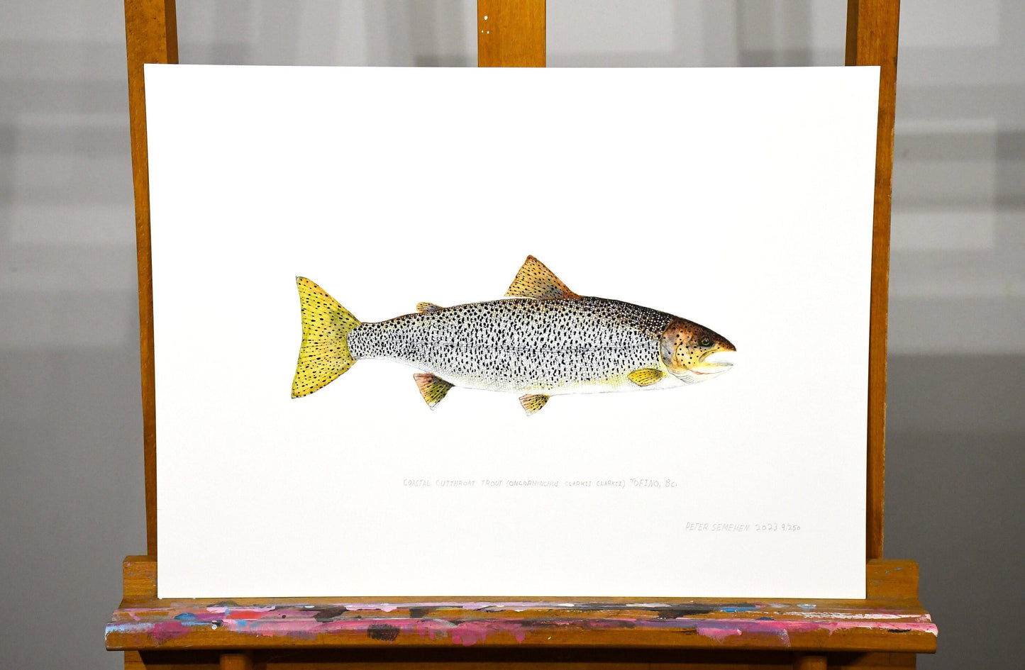 Cutthroat Trout