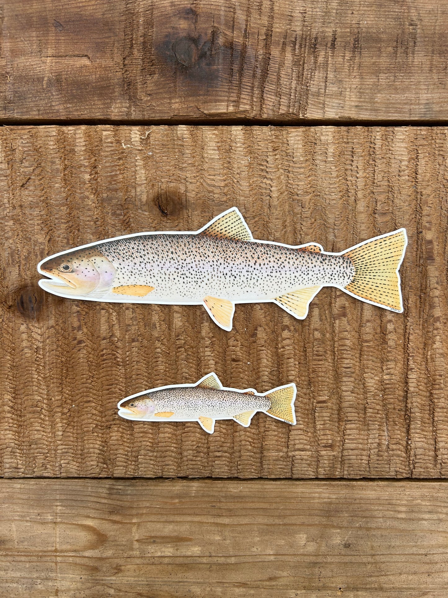 Cutthroat Sticker