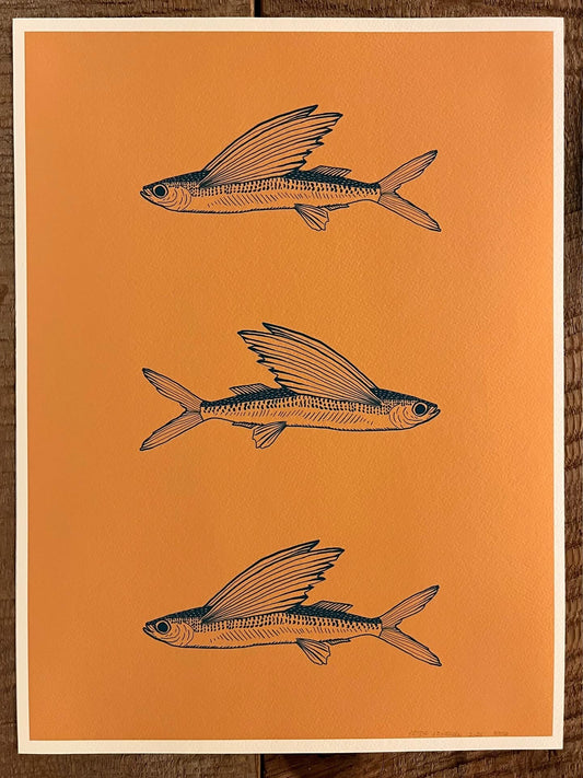 Flying fish print 12”x16”
