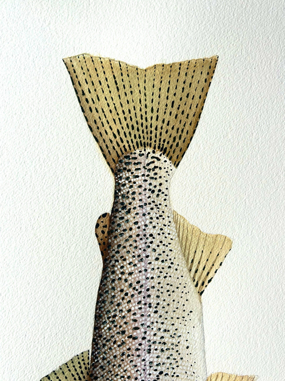 Original Coastal cutthroat trout painting  22”x30”  watercolour x gouache