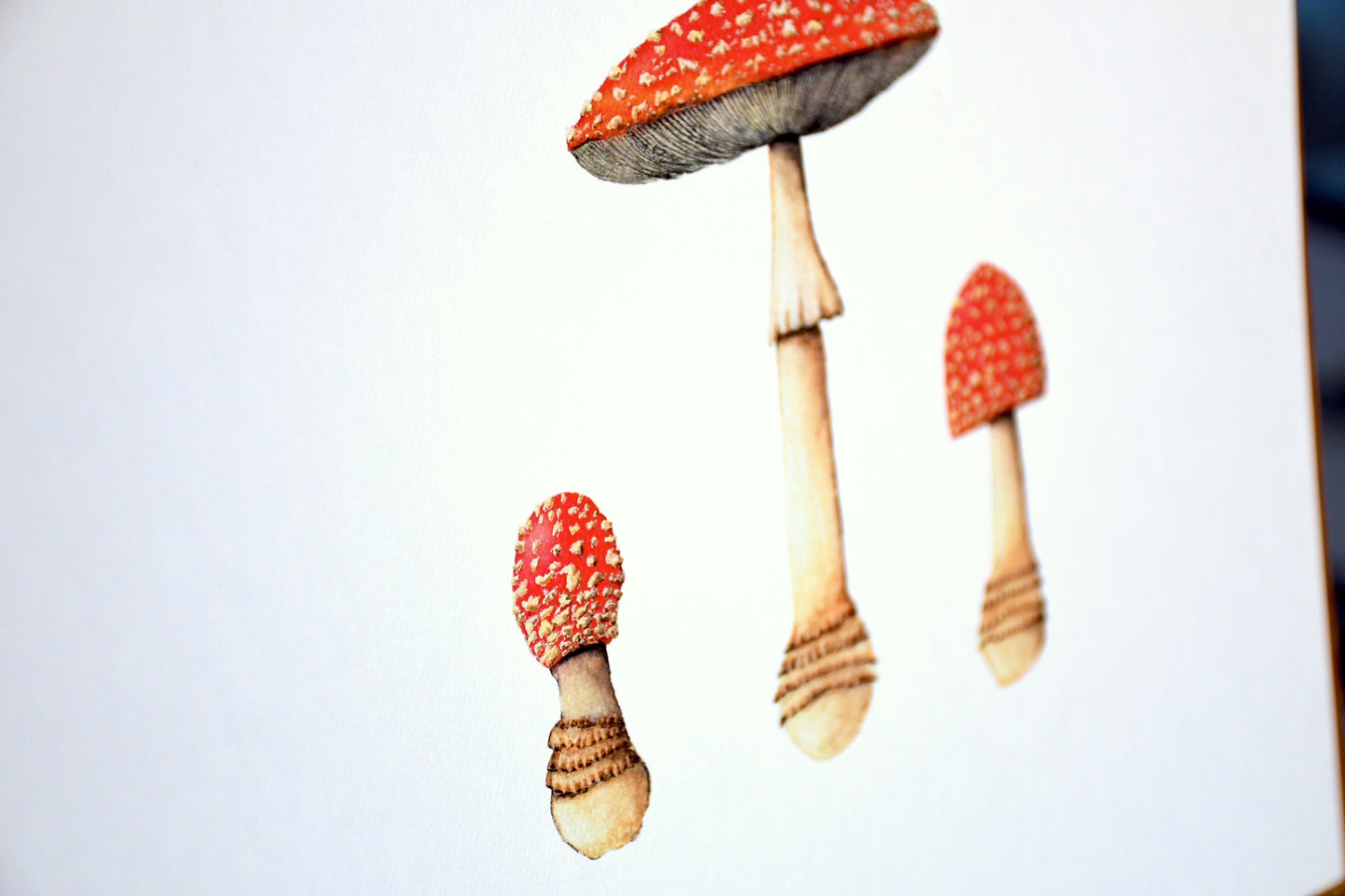 Amanita Muscaria Print