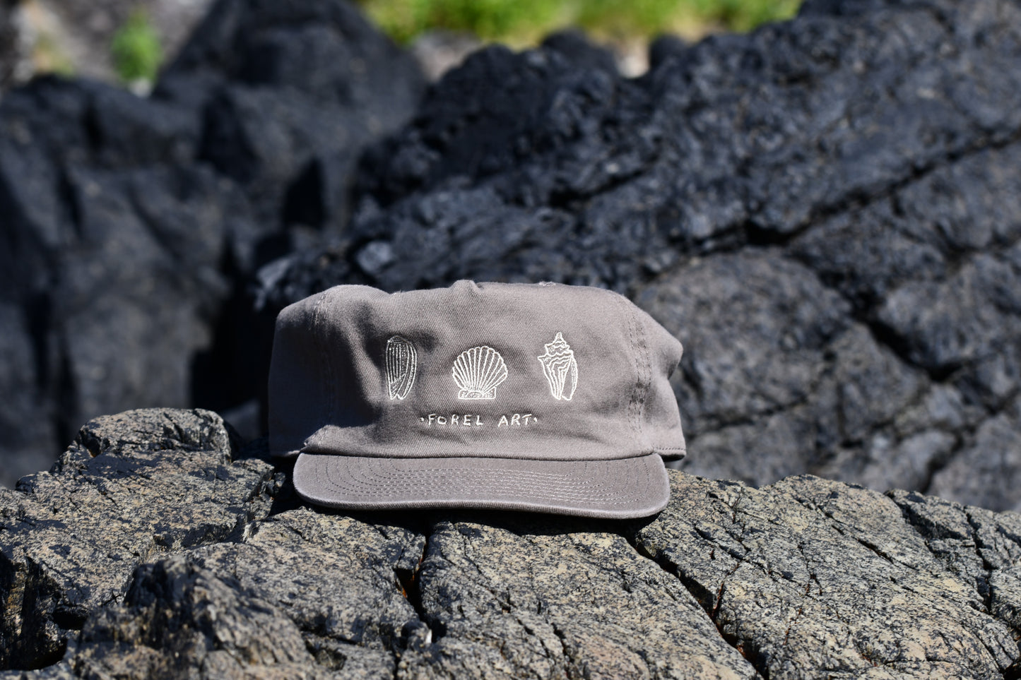 Shell hat