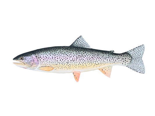 Coastal Cutthroat Trout Print X Coastal Cutthroat Coalition