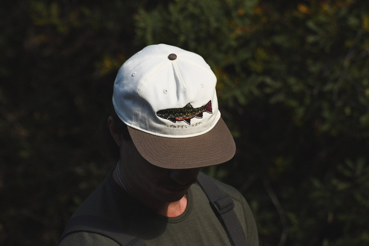 Brook trout 5 panel