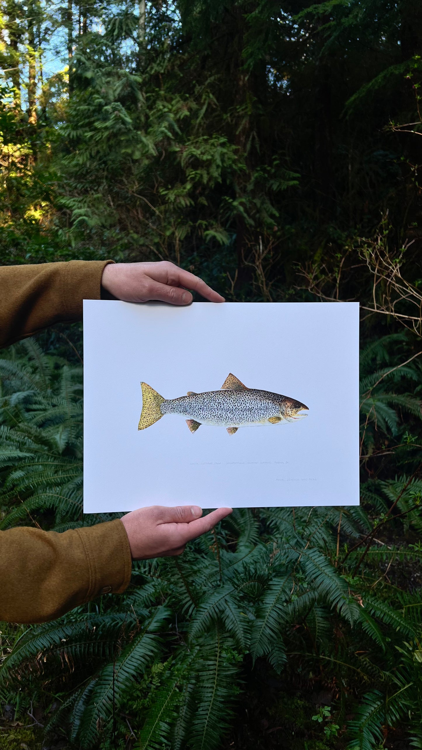 Cutthroat Trout