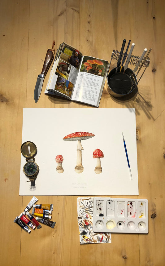 Original Amanita Muscaria