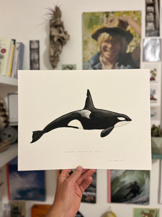 Original Orca Whale T063 "Chainsaw"