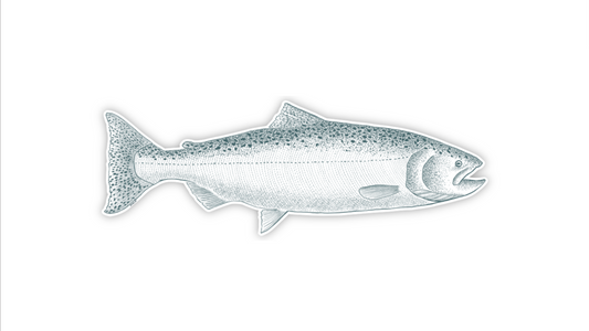Chinook Sticker