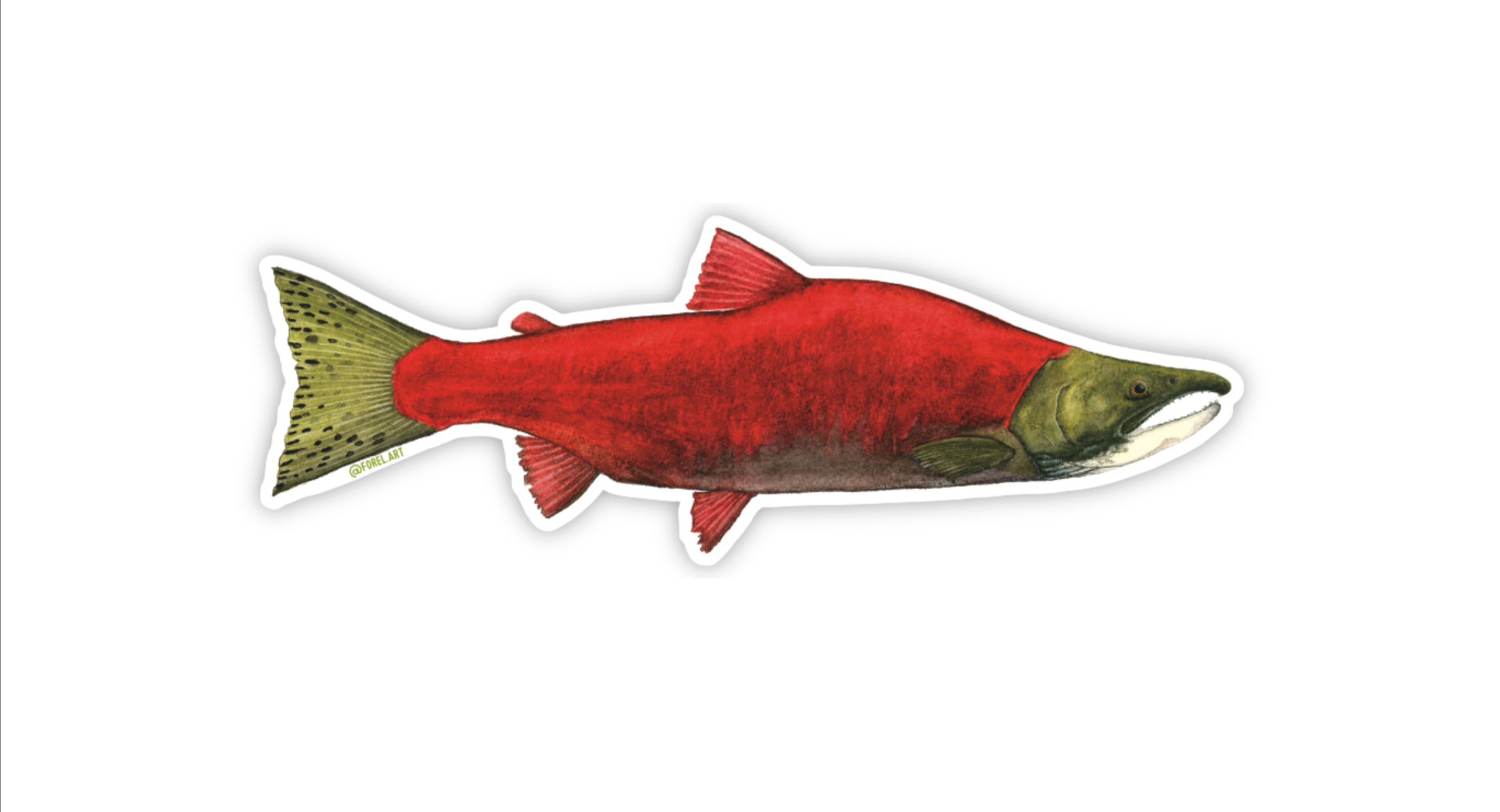 Malmon Sticker Sockeye Salmon Sticker – Forel Art