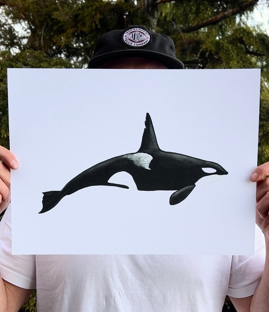 Orca Whale T063 "Chainsaw" Print