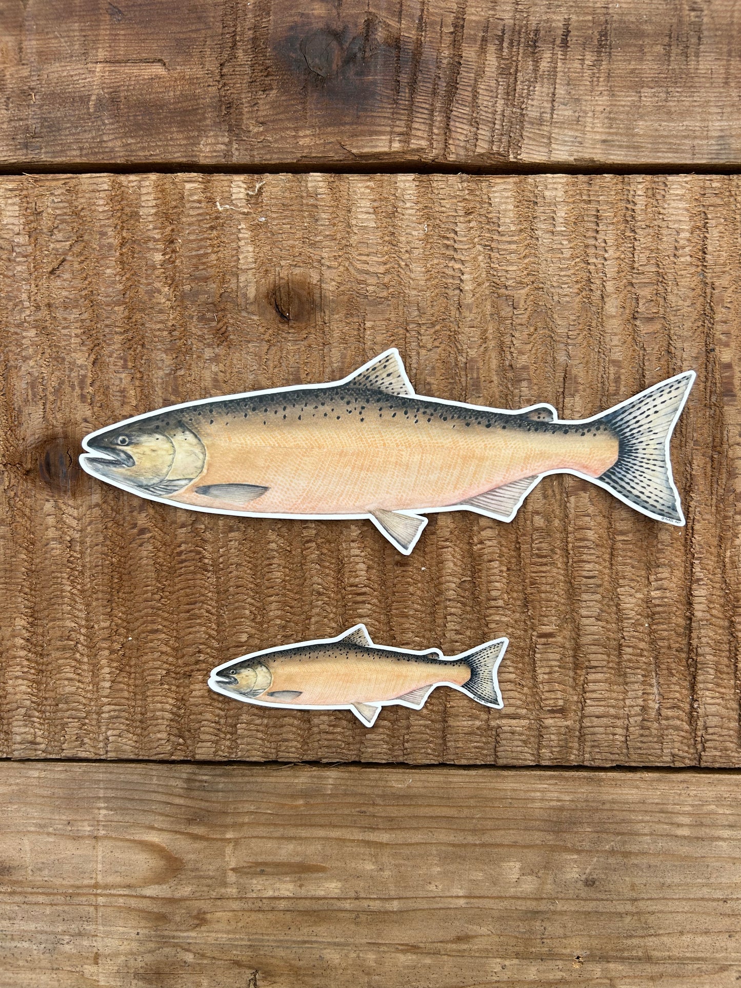 Chinook Sticker