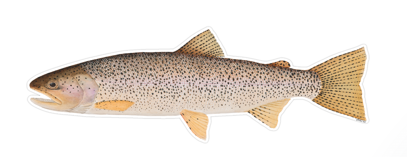 Cutthroat Sticker