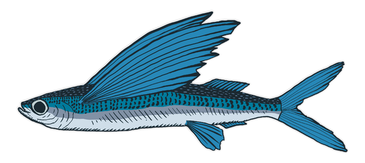 Flying Fish sticker 3"