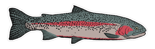 Rainbow trout sticker 3"
